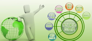 產品成長期 企業(yè)營銷型網(wǎng)站與產品共同成長的戰(zhàn)略融合